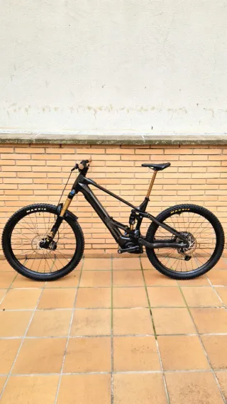 Orbea Wild 2025