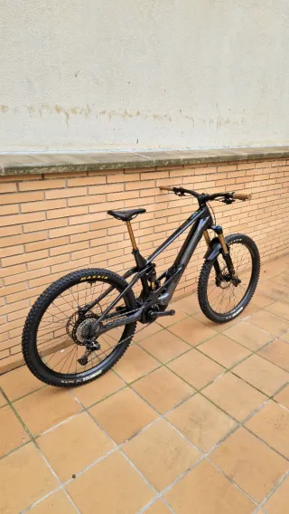 Orbea Wild 2025