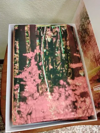 Lenzuola Bassetti matrimogliale