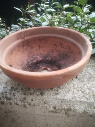 Maceta redonda de terracota