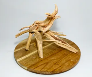 Raíz decorativa natural para acuario plantado