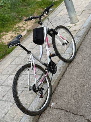 Bicicleta de montaña plateada