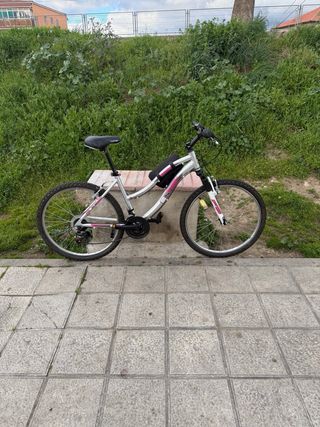 Bicicleta de montaña plateada