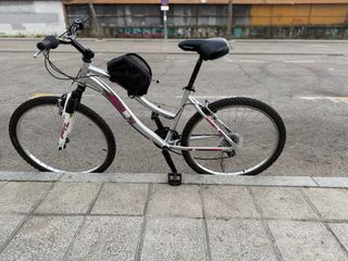 Bicicleta de montaña plateada