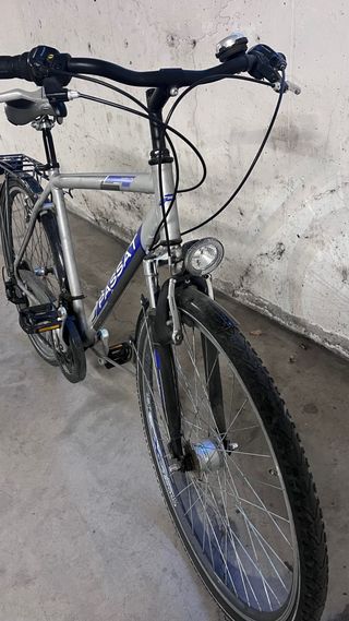 Bici uomo Passat taglia L
