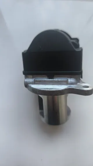 Válvula EGR Borgwarner  a6421402160 6421402160