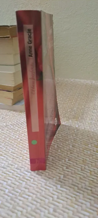 BESO PERFECTO, EL (Spanish Edition)