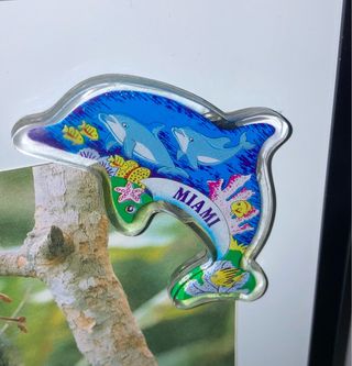 Calamite città Sevilla & Miami