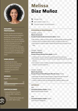 Diseño de CV Profesional Personalizado