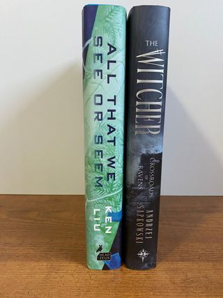 The Witcher Crossroads of Ravens & All That We See