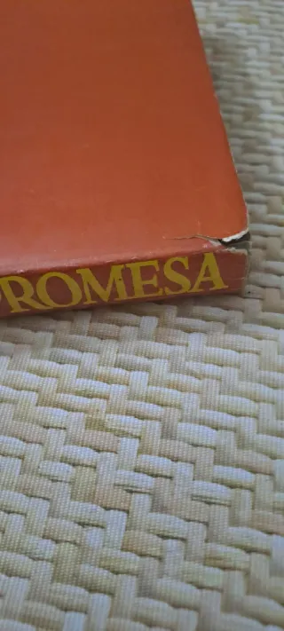 Danielle Steel Libro La promesa