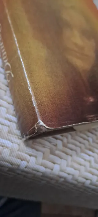 Danielle Steel Libro La promesa