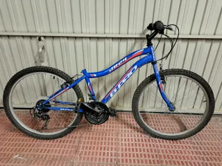 Bicicleta niño ruedas 24 para repuestos