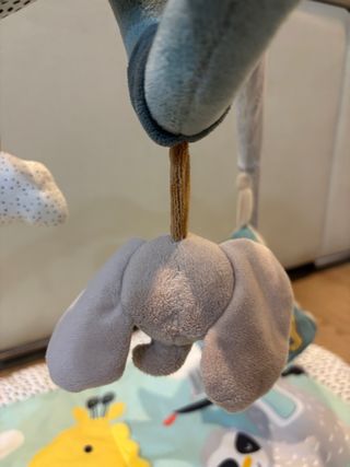 Gimnasio actividades bebé