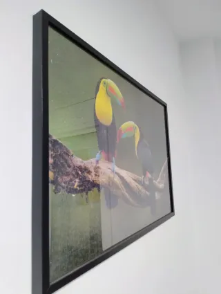 Puzzle 1000 piezas tucanes marco madera