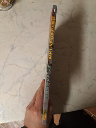 Dan L'Indistruttibile 1 - Lapham - Panini Comics