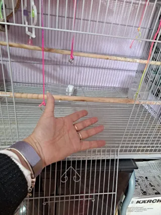 Jaula Metal para Pájaros Loro