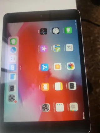 Apple iPad Mini Plata