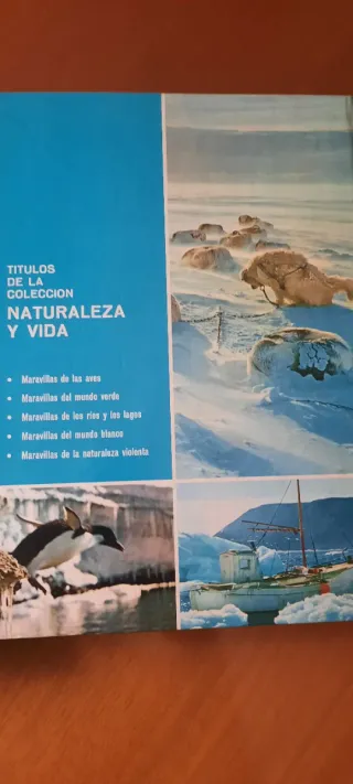 Coleccion 4 libros tapa dura