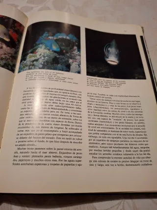 El Gran Libro de los Océanos