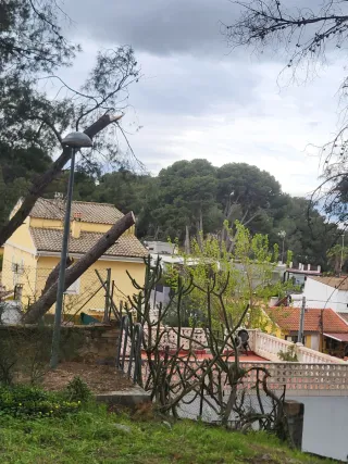 643 43 27 60 JARDINERO SERGIO