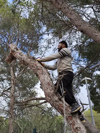 643 43 27 60 JARDINERO SERGIO