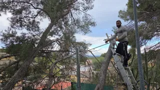 643 43 27 60 JARDINERO SERGIO