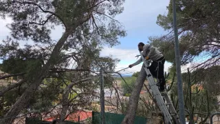 643 43 27 60 JARDINERO SERGIO