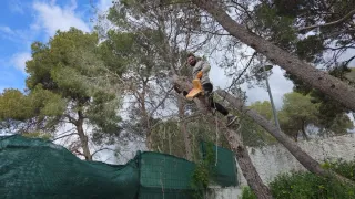 643 43 27 60 JARDINERO SERGIO