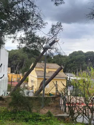 643 43 27 60 JARDINERO SERGIO