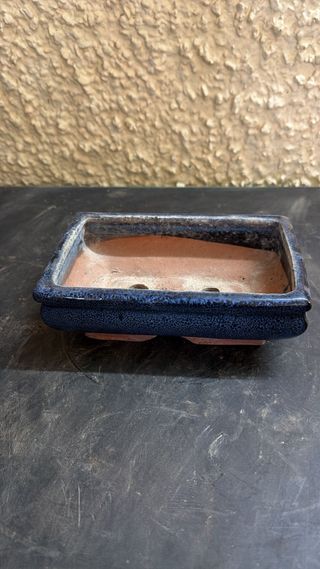 Maceta bonsai cerámica azul y terracota