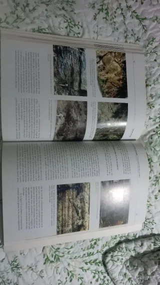 Geología de Girona. 9 itinerarios de campo: XII...