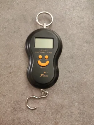 Bilancia Pesavaligia Elettronica Portatile