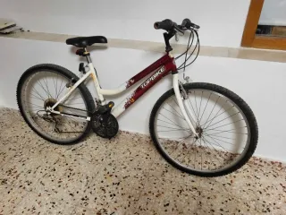 Bicicleta MTB Topbike (a reparar)
