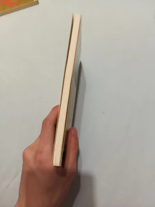 Rimas y Leyendas (Biblioteca Didactica Anaya)