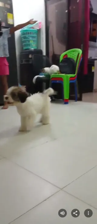 Busco trabajo por horas días,aprendo rápido