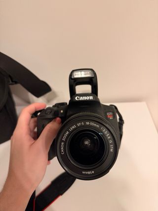 Canon EOS Rebel T6i + 2 lentes + micrófono RØDE