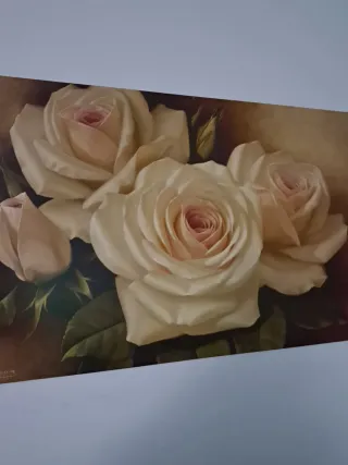 Cuadros rosas blancas