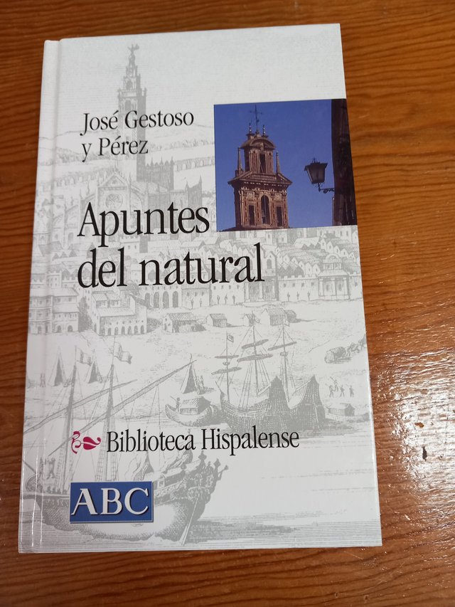 9 LIBROS SOBRE SEVILLA