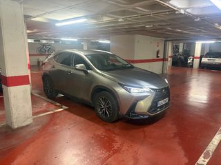 Lexus NX 2025 450h+ premium +