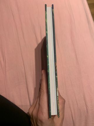 Disfruta de Un Baño de Bosque Cómo Despejar Tu ...