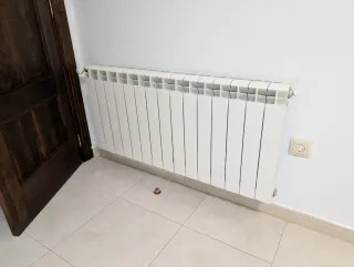 Lote 10 radiadores aluminio calefacción agua gas