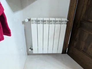 Lote 10 radiadores aluminio calefacción agua gas