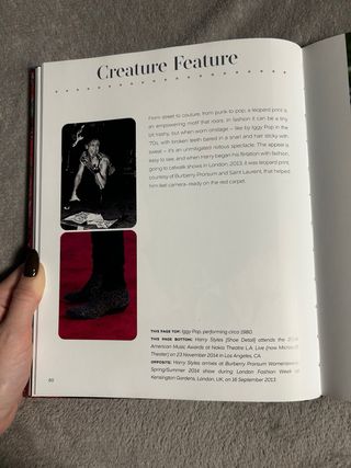 Harry Styles: And the Clothes he Wears