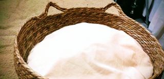 CAMA PARA MASCOTA CON COLCHON