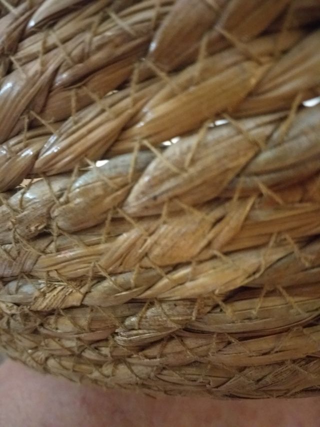 CAMA PARA MASCOTA CON COLCHON