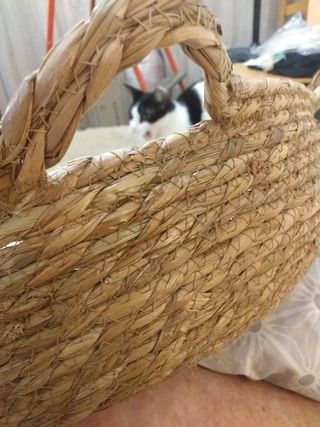 CAMA PARA MASCOTA CON COLCHON
