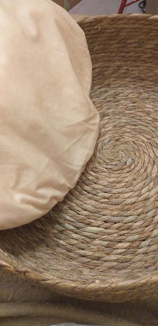 CAMA PARA MASCOTA CON COLCHON