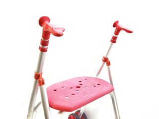 muletas forta ara kamaleon