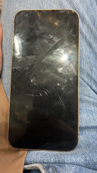 iPhone 13 Pro Max Negro/Dorado eSIM